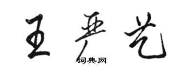 駱恆光王嚴藝行書個性簽名怎么寫