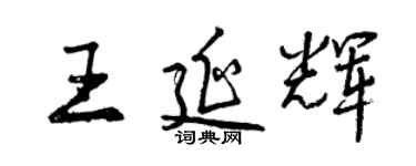 曾慶福王延輝行書個性簽名怎么寫