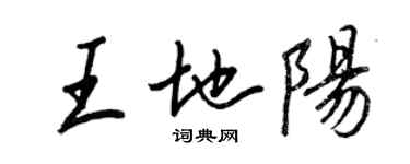 王正良王地陽行書個性簽名怎么寫