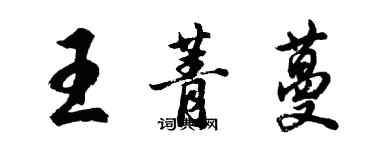 胡問遂王菁蔓行書個性簽名怎么寫