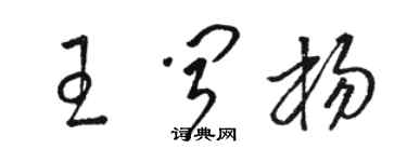 駱恆光王聞楊草書個性簽名怎么寫