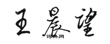 駱恆光王晨望行書個性簽名怎么寫