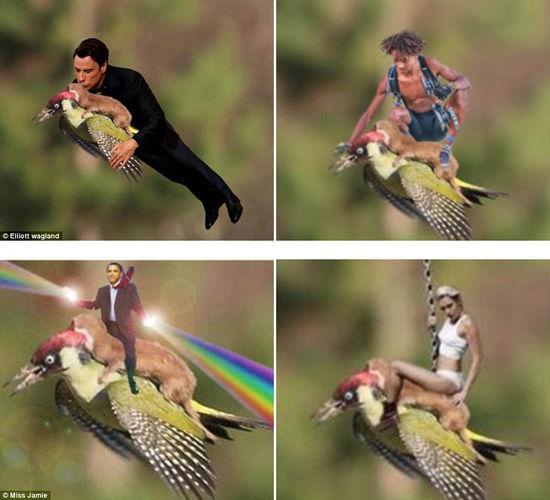 啄木鳥背著黃鼠狼在飛?結果被網友玩壞了