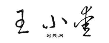 駱恆光王小愛草書個性簽名怎么寫