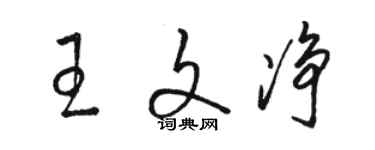 駱恆光王文淨草書個性簽名怎么寫