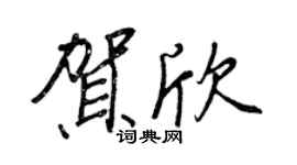 王正良賀欣行書個性簽名怎么寫