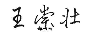 駱恆光王崇壯行書個性簽名怎么寫