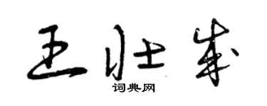 曾慶福王壯成草書個性簽名怎么寫