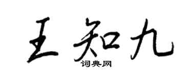 王正良王知九行書個性簽名怎么寫