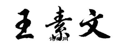 胡問遂王素文行書個性簽名怎么寫