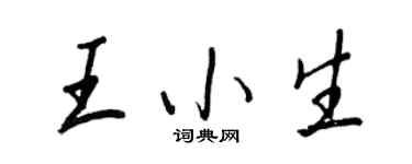 王正良王小生行書個性簽名怎么寫