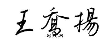 王正良王喬揚行書個性簽名怎么寫