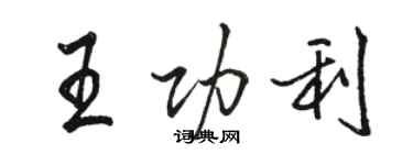 駱恆光王功利行書個性簽名怎么寫