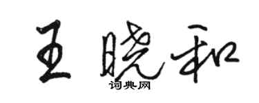 駱恆光王曉和行書個性簽名怎么寫