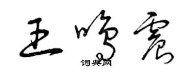 曾慶福王鳴震草書個性簽名怎么寫