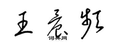 梁錦英王晨頻草書個性簽名怎么寫