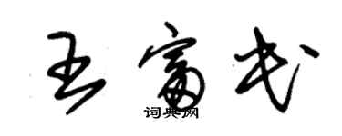 朱錫榮王富民草書個性簽名怎么寫