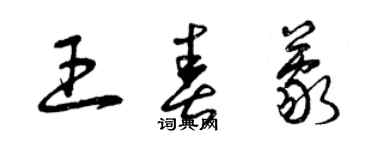 曾慶福王春蒙草書個性簽名怎么寫