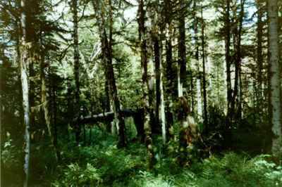 1980年3月27日長白山、臥龍、鼎湖山列入國際生物圈保護區_歷史上的今天