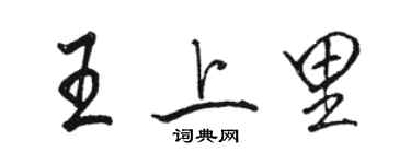 駱恆光王上里行書個性簽名怎么寫