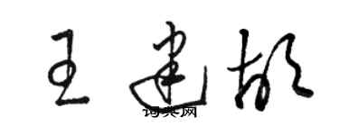 駱恆光王建胡草書個性簽名怎么寫