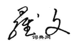 駱恆光羅文草書個性簽名怎么寫