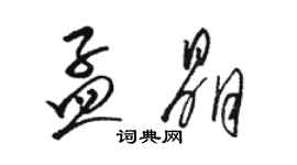 駱恆光孟晶草書個性簽名怎么寫