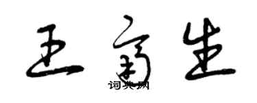 曾慶福王齊生草書個性簽名怎么寫