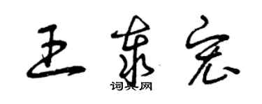 曾慶福王泰宏草書個性簽名怎么寫
