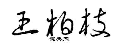 曾慶福王柏枝草書個性簽名怎么寫