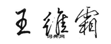 駱恆光王維霜行書個性簽名怎么寫