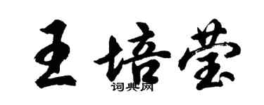 胡問遂王培瑩行書個性簽名怎么寫