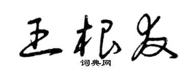 曾慶福王根友草書個性簽名怎么寫