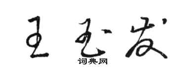 駱恆光王玉發草書個性簽名怎么寫