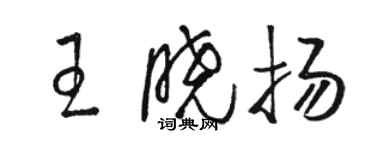 駱恆光王曉揚草書個性簽名怎么寫