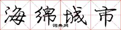 龐中華海綿城市行書怎么寫