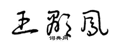 曾慶福王顯鳳草書個性簽名怎么寫