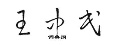 駱恆光王中民草書個性簽名怎么寫