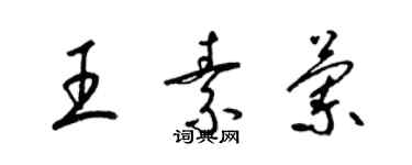 梁錦英王素蘭草書個性簽名怎么寫