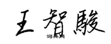 王正良王智駿行書個性簽名怎么寫