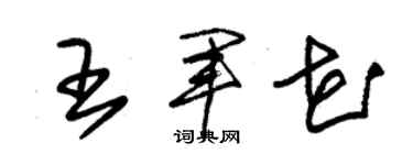 朱錫榮王軍花草書個性簽名怎么寫