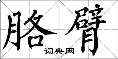 翁闓運胳臂楷書怎么寫