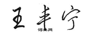 駱恆光王豐寧行書個性簽名怎么寫