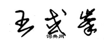 朱錫榮王或峰草書個性簽名怎么寫