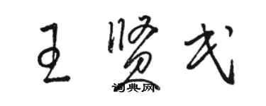駱恆光王賢民草書個性簽名怎么寫