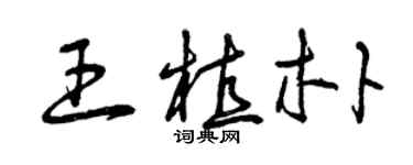 曾慶福王植朴草書個性簽名怎么寫