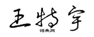 曾慶福王特宇草書個性簽名怎么寫