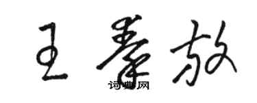 駱恆光王秦放草書個性簽名怎么寫