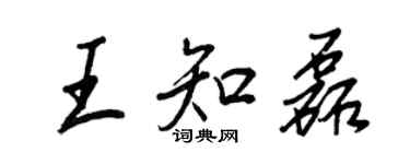 王正良王知磊行書個性簽名怎么寫