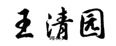 胡問遂王清園行書個性簽名怎么寫